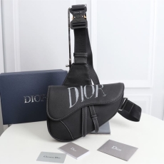 Christian Dior Waist Chest Packs